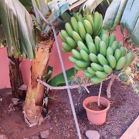 Casita La Gomera San Sebastián de la Gomera Zewnętrze zdjęcie