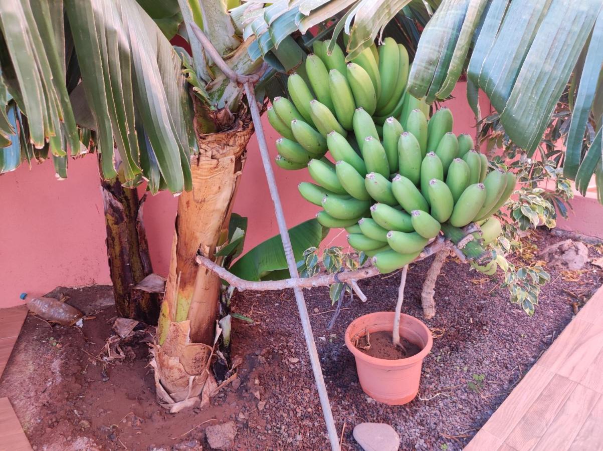 Casita La Gomera San Sebastián de la Gomera Zewnętrze zdjęcie